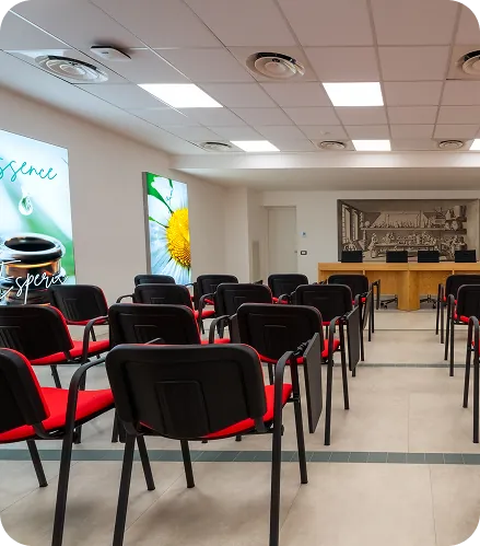 Sala conferenze Esperis
