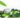 Tea tree oil