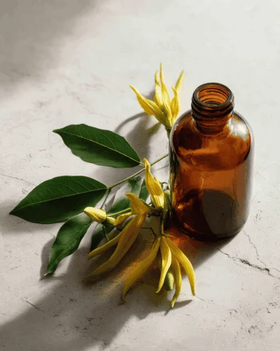 Prodotti - OL.ES.YLANG YLANG II