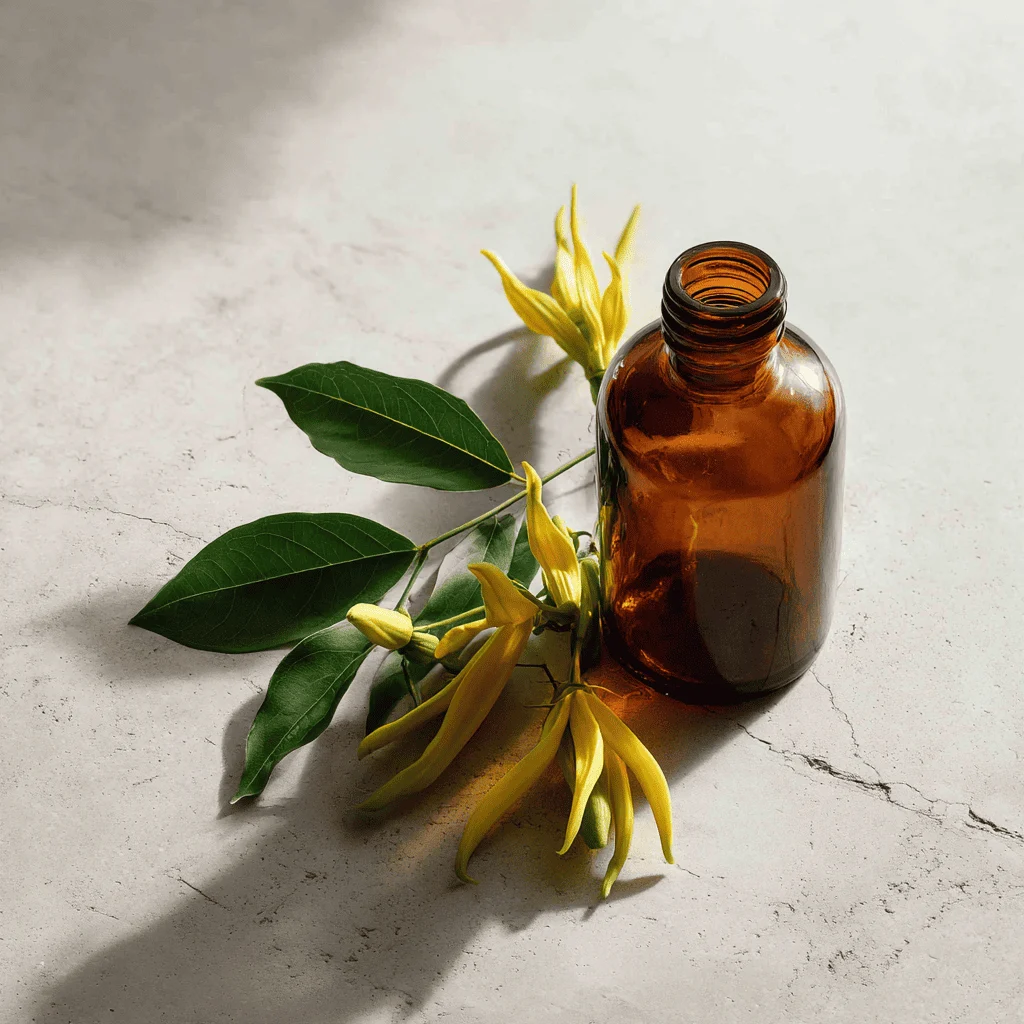 Prodotti - OL.ES.YLANG YLANG II