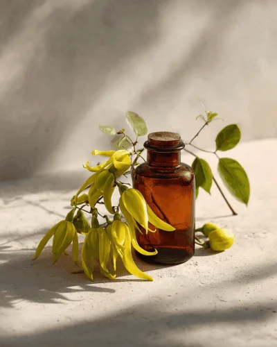 Prodotti - OL.ES.YLANG YLANG EXTRA