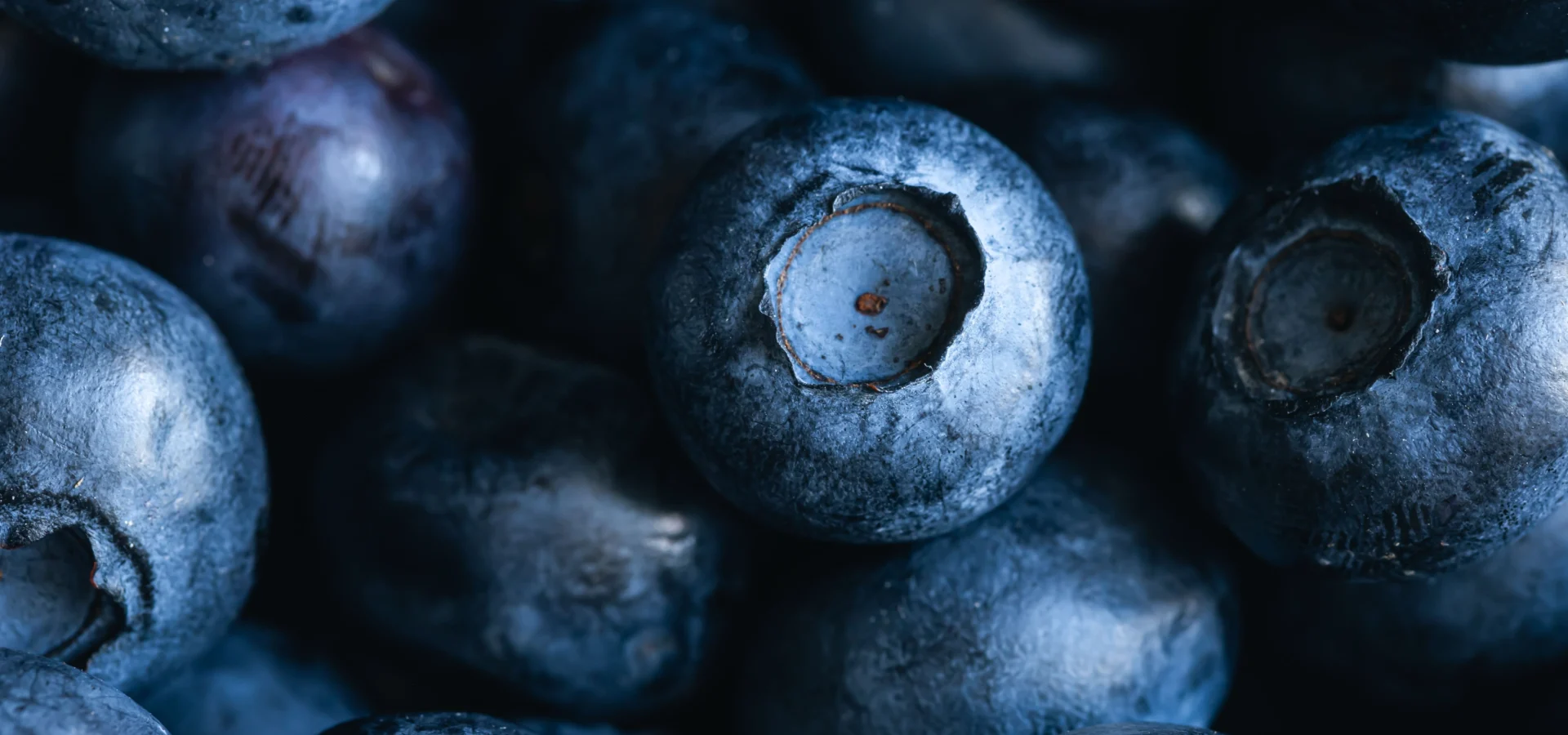 Estratti vegetali glicolici